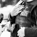 Federal and State Crimes Image